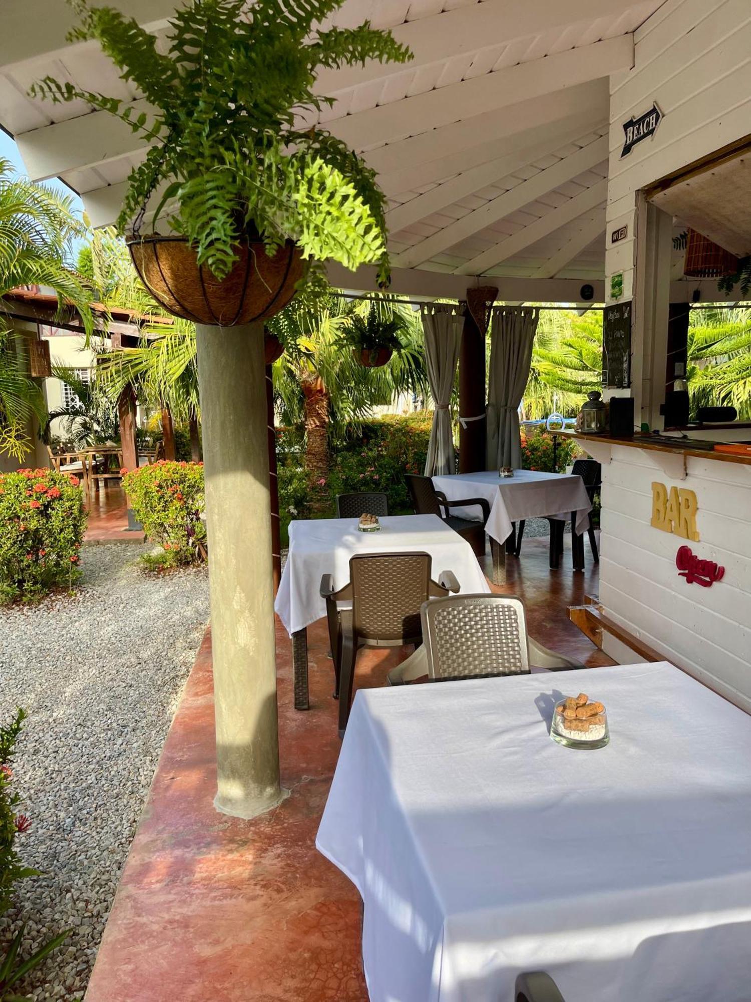 21 Palms Hotel Las Galeras Exterior photo