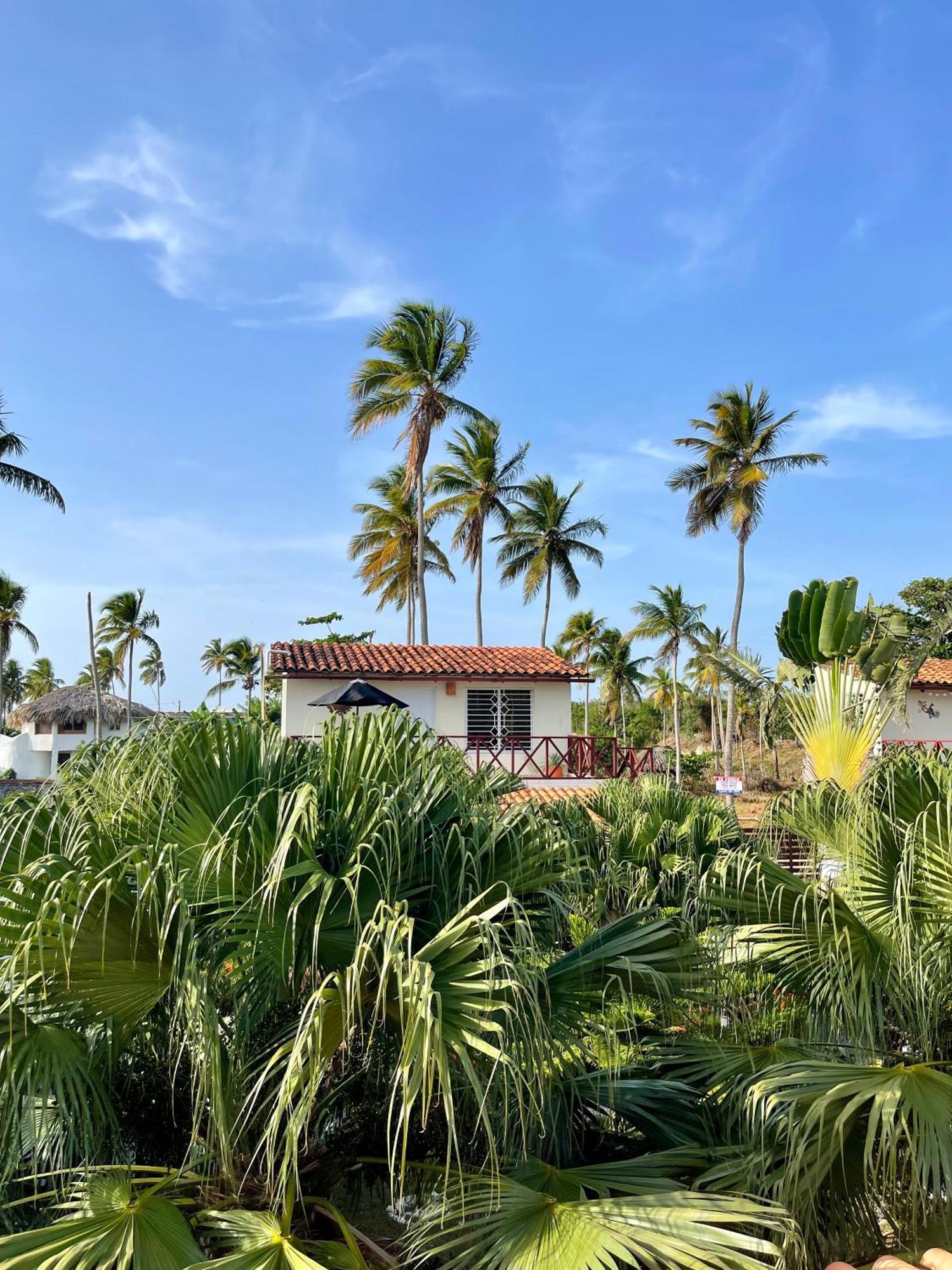 21 Palms Hotel Las Galeras Exterior photo