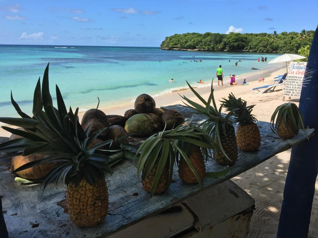 21 Palms Hotel Las Galeras Exterior photo